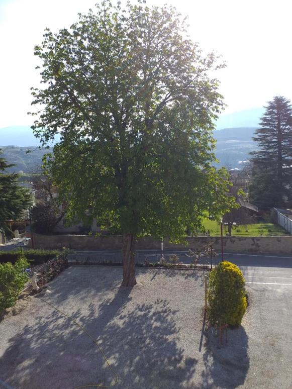 Hotel Villa Mayr Rooms & Suites Brixen Exterior foto