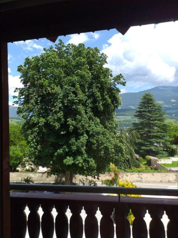 Hotel Villa Mayr Rooms & Suites Brixen Exterior foto